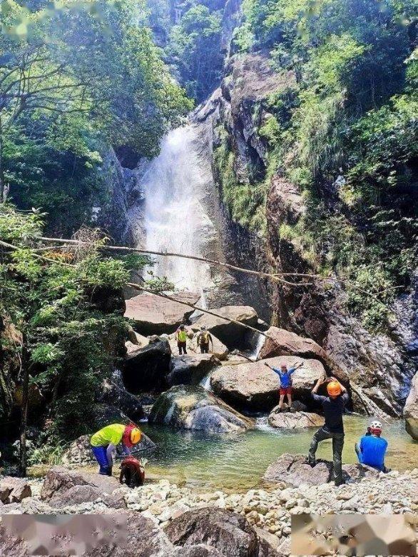 冷知识分享平台 - 大学女生怎么找男朋友?专栏